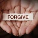 Parashat Vayigash: Forgiveness – can you imagine?